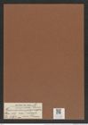 Hemiaulus polymorphus var. ? morsianus Grun. (de-Toni-Nr.: Genus 117, Species 3392) Zeichnungen Sammlung Grunow Mappe 03596 (Herbarium_W_Grunow_drawings_Folder_03596)